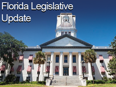 Florida Legislative Community Association Bills to Keep an Eye Out for in 2020